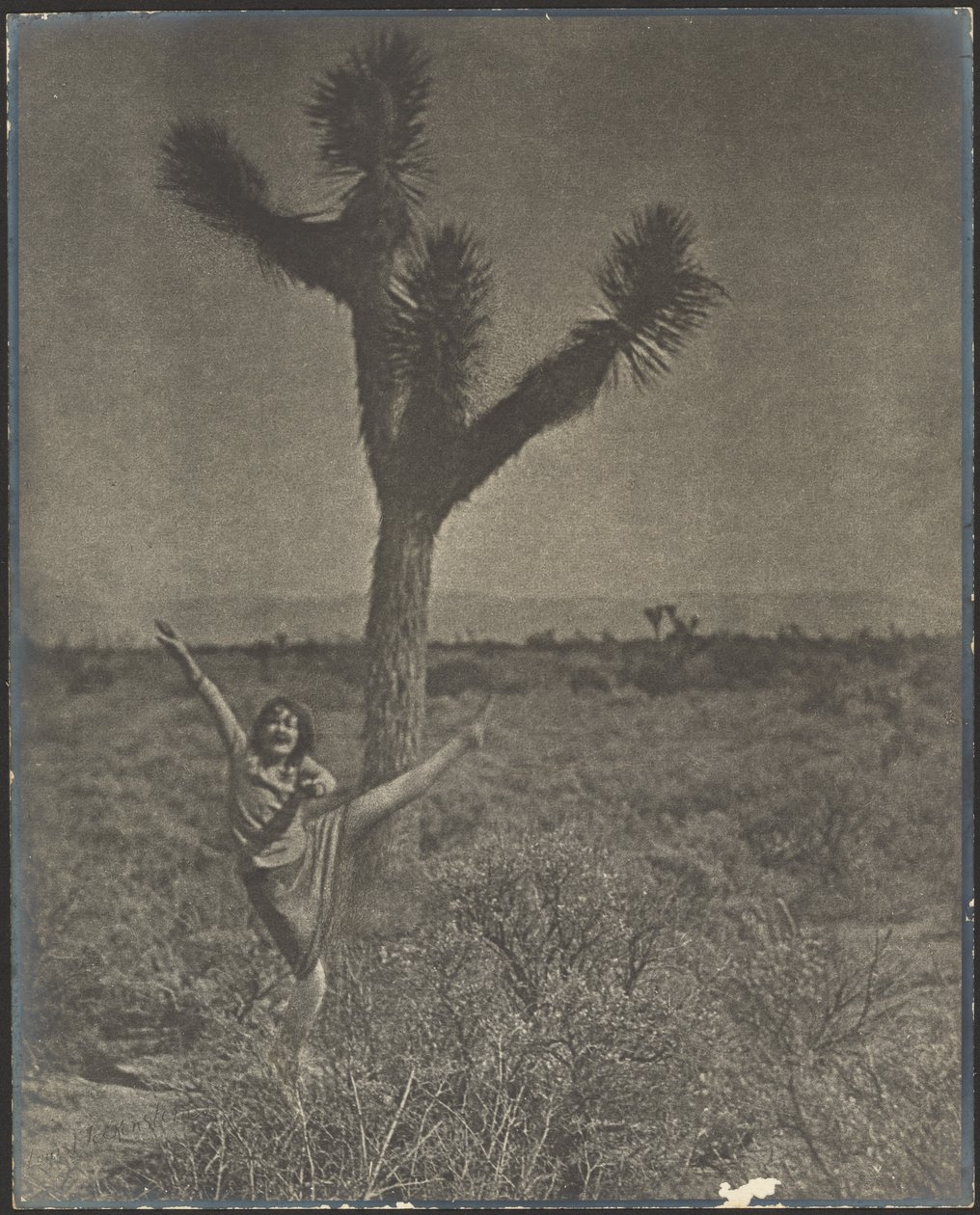 [Danser ved Joshua Tree] av Louis Fleckenstein