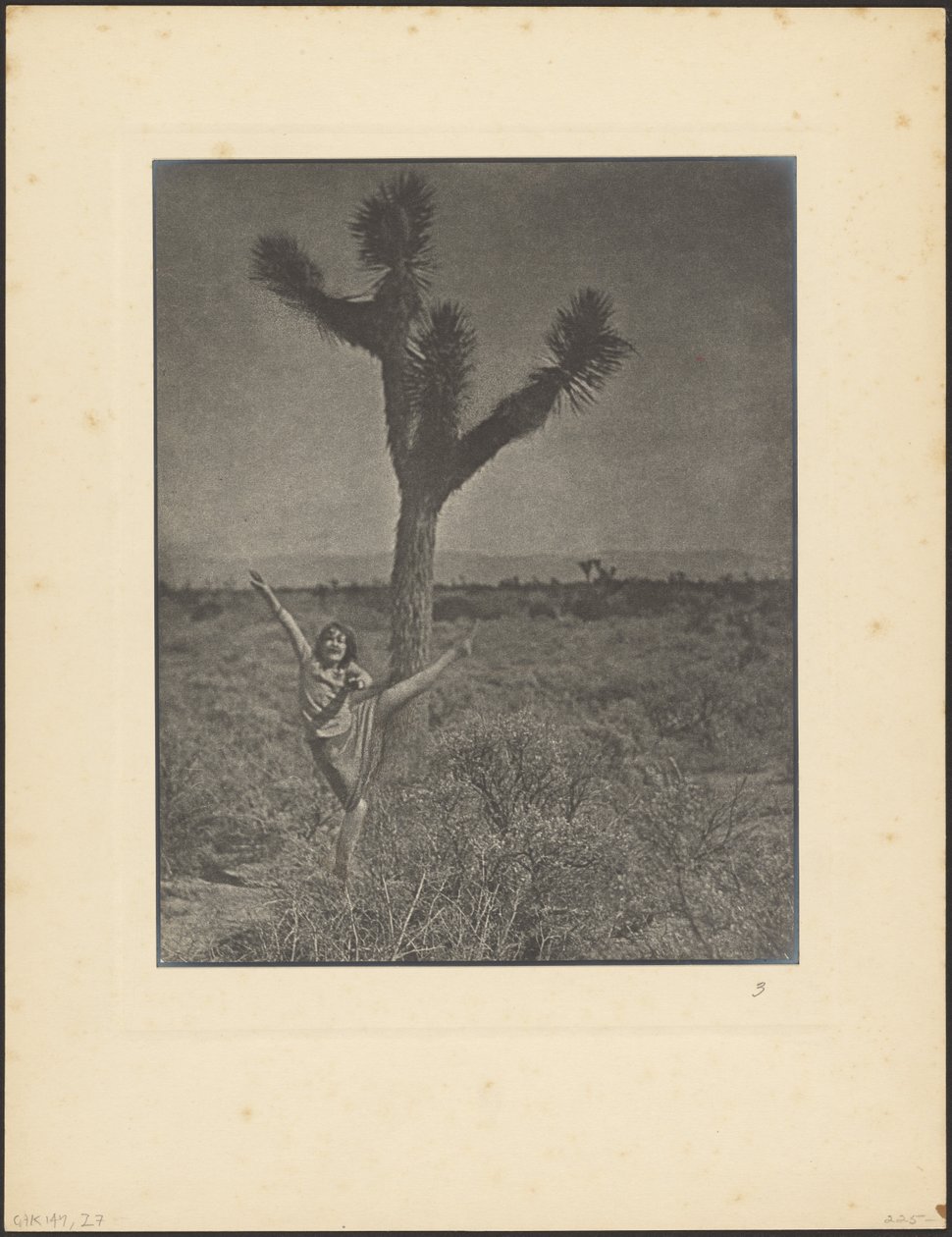 [Danser ved Joshua Tree] av Louis Fleckenstein