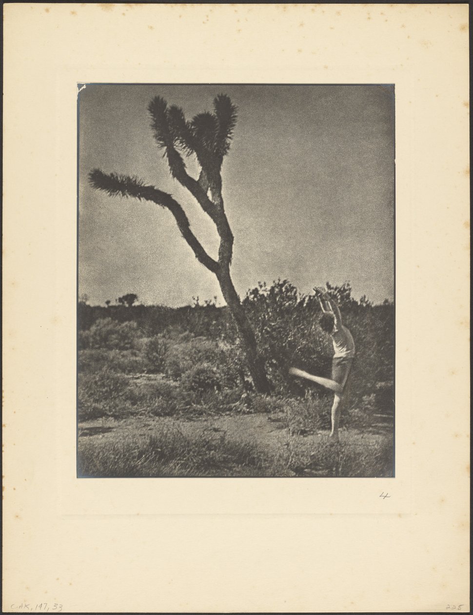 [Danser ved Joshua Tree] av Louis Fleckenstein
