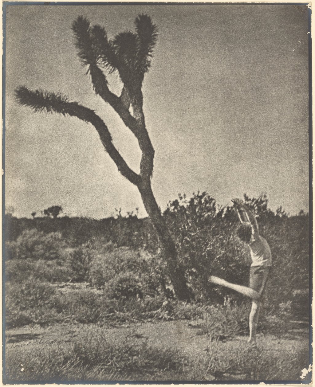 [Danser ved Joshua Tree] av Louis Fleckenstein