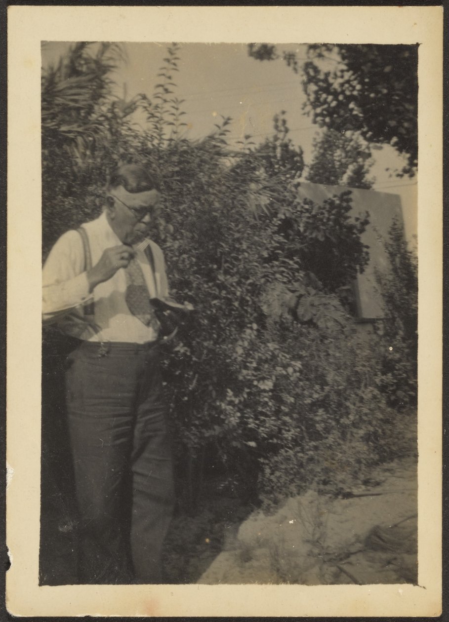  av Louis Fleckenstein