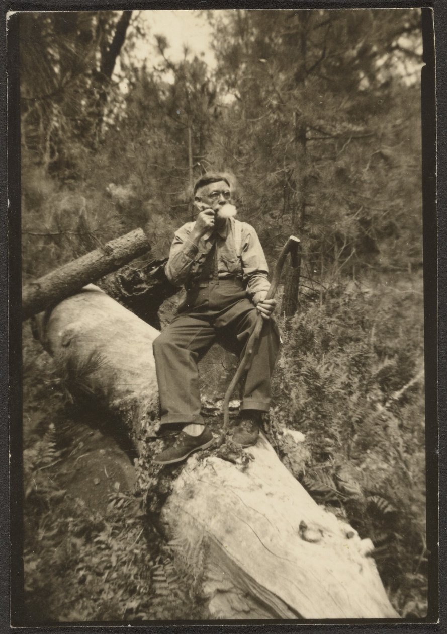  av Louis Fleckenstein