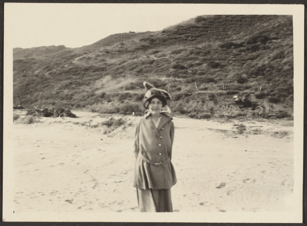  av Louis Fleckenstein