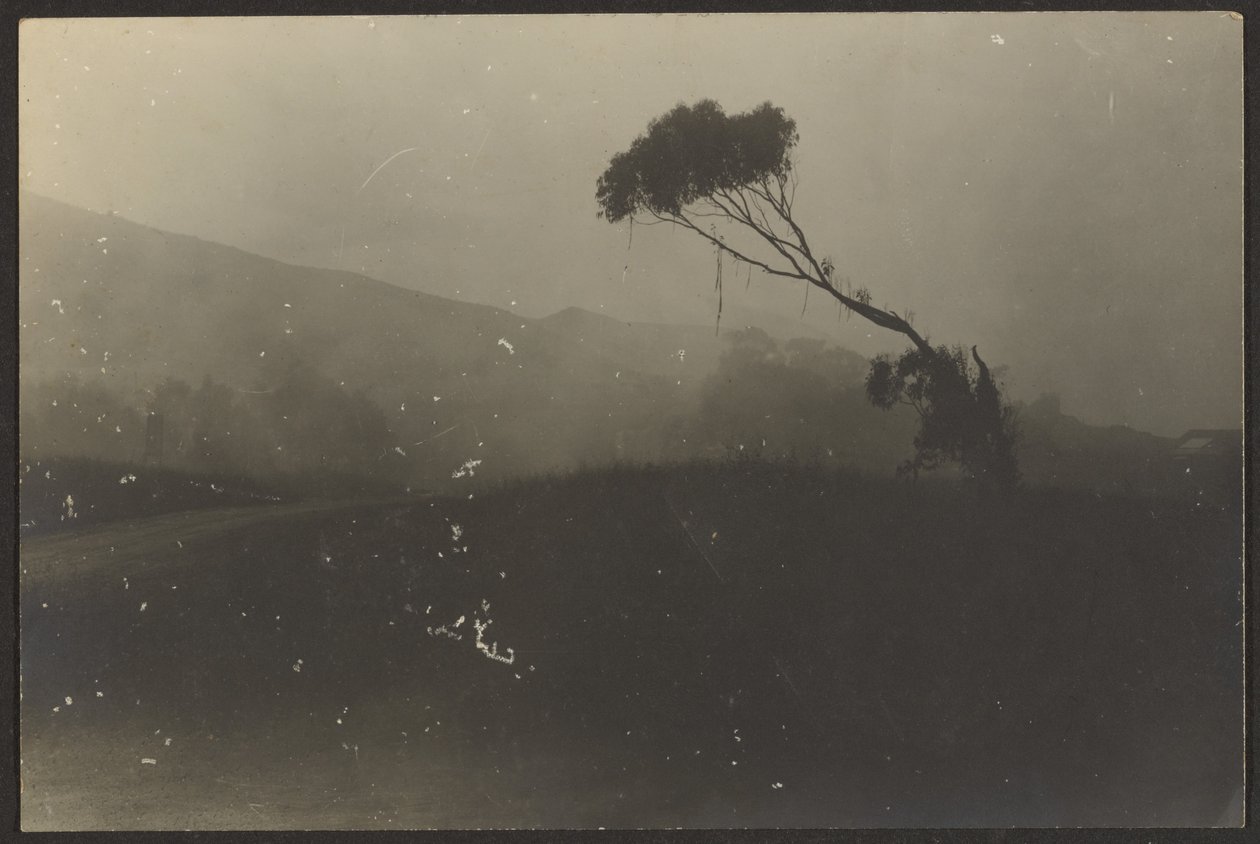 Laguna-stranden av Louis Fleckenstein