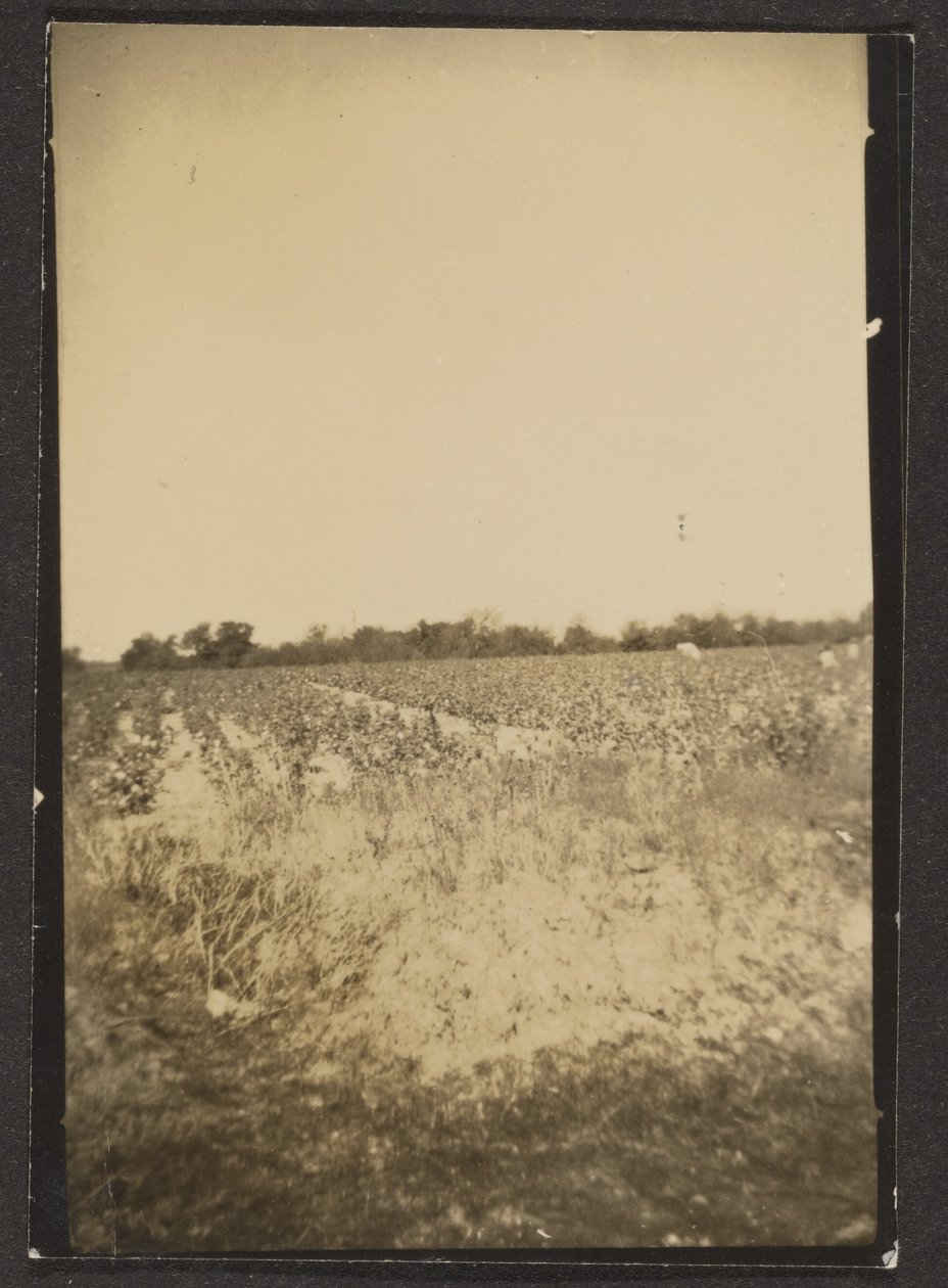  av Louis Fleckenstein