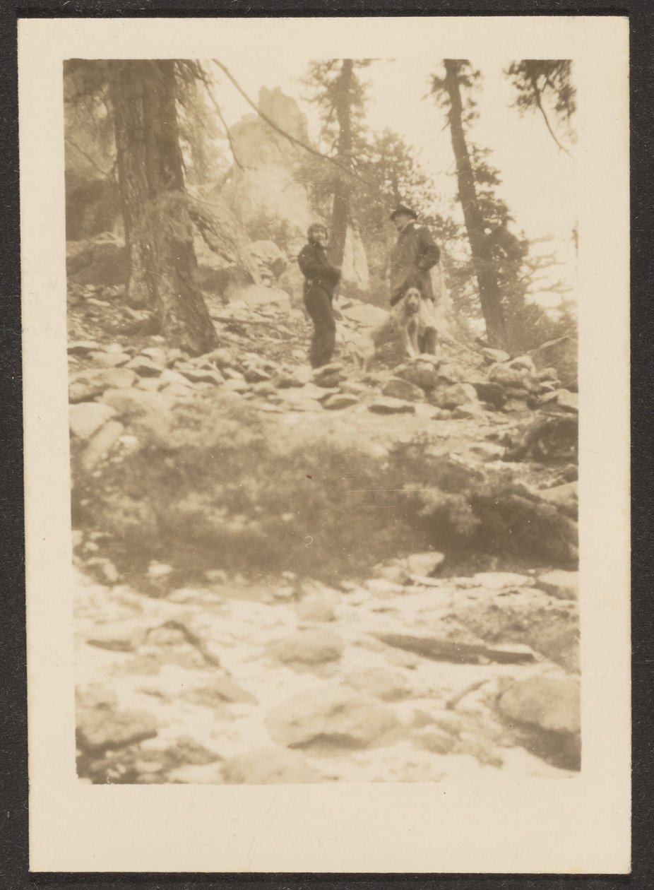  av Louis Fleckenstein