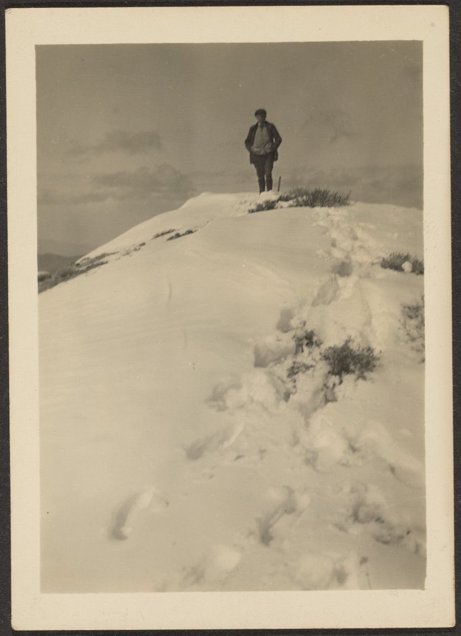  av Louis Fleckenstein
