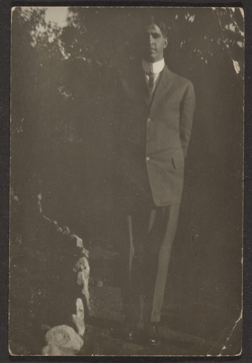  av Louis Fleckenstein