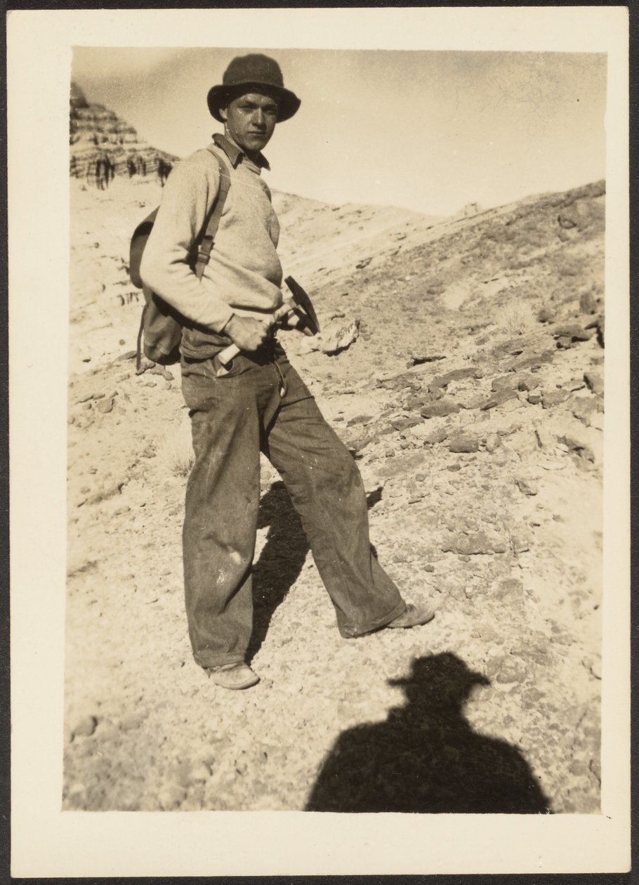  av Louis Fleckenstein