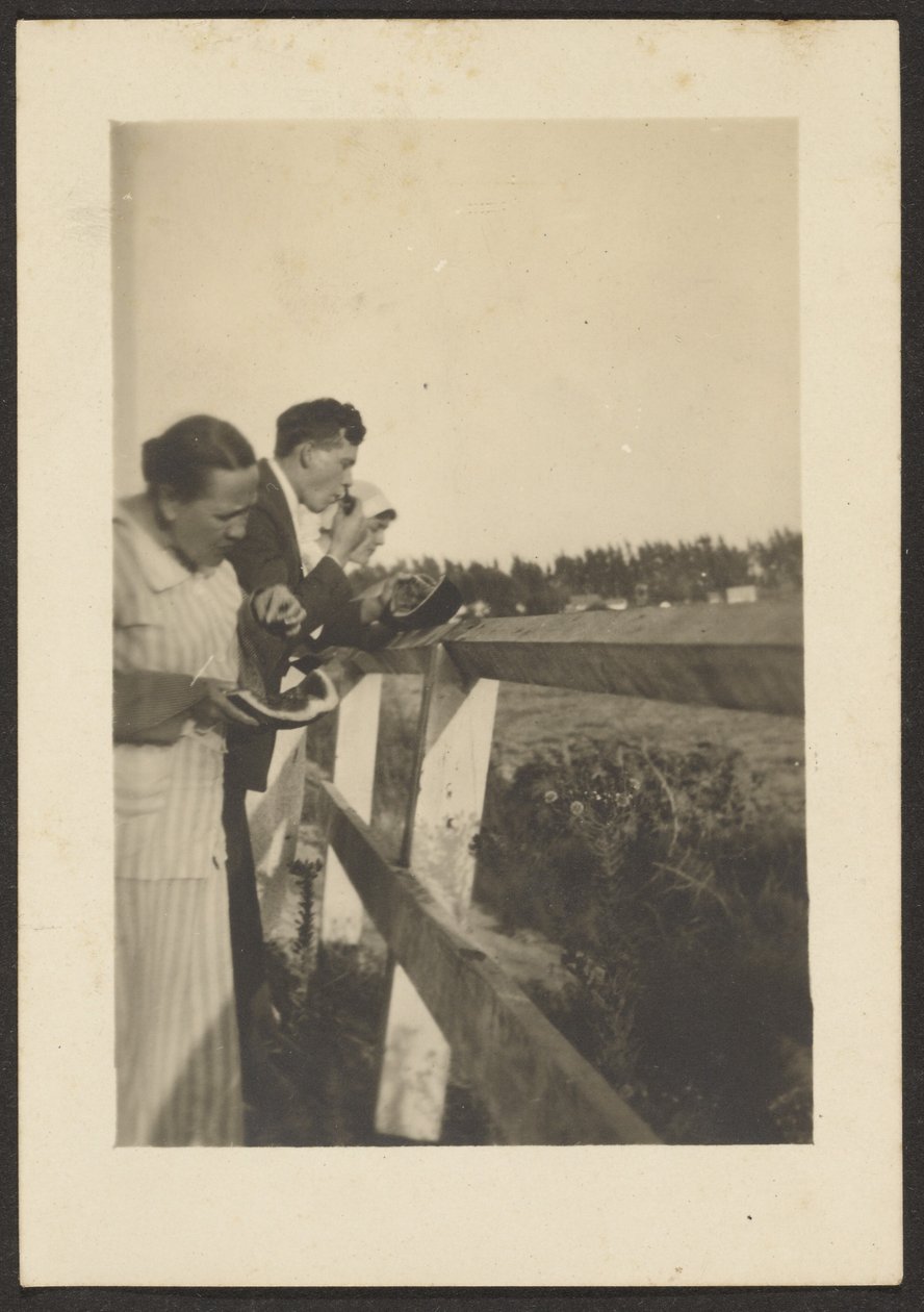  av Louis Fleckenstein