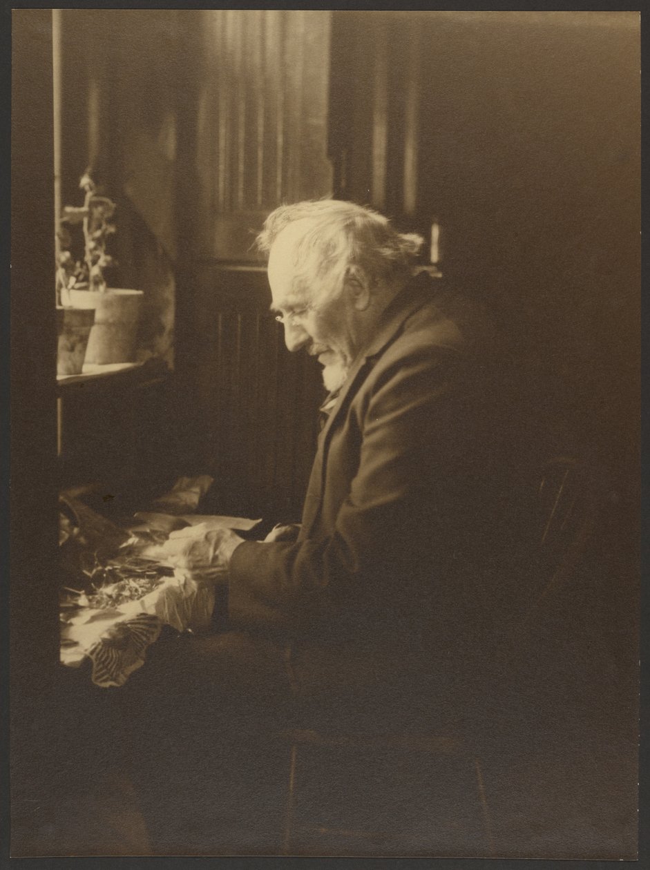  av Louis Fleckenstein