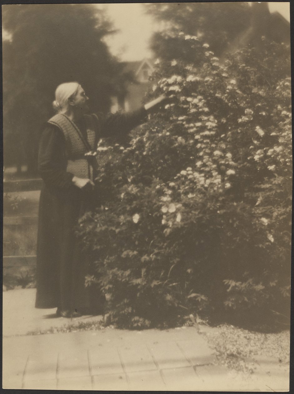 [Portrett av en kvinne som plukker blomster] av Louis Fleckenstein