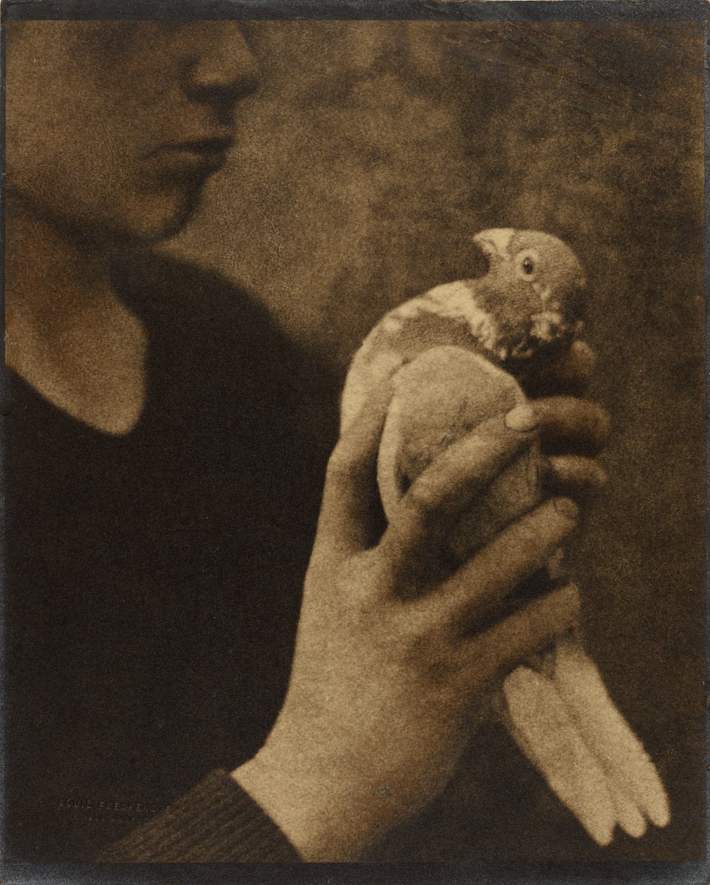  av Louis Fleckenstein