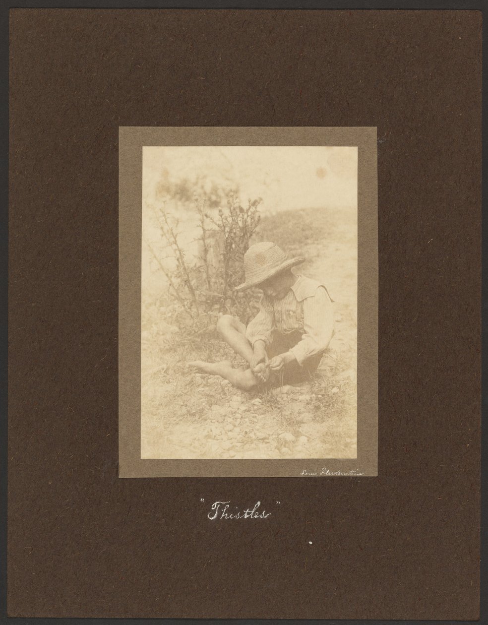 Tistler av Louis Fleckenstein