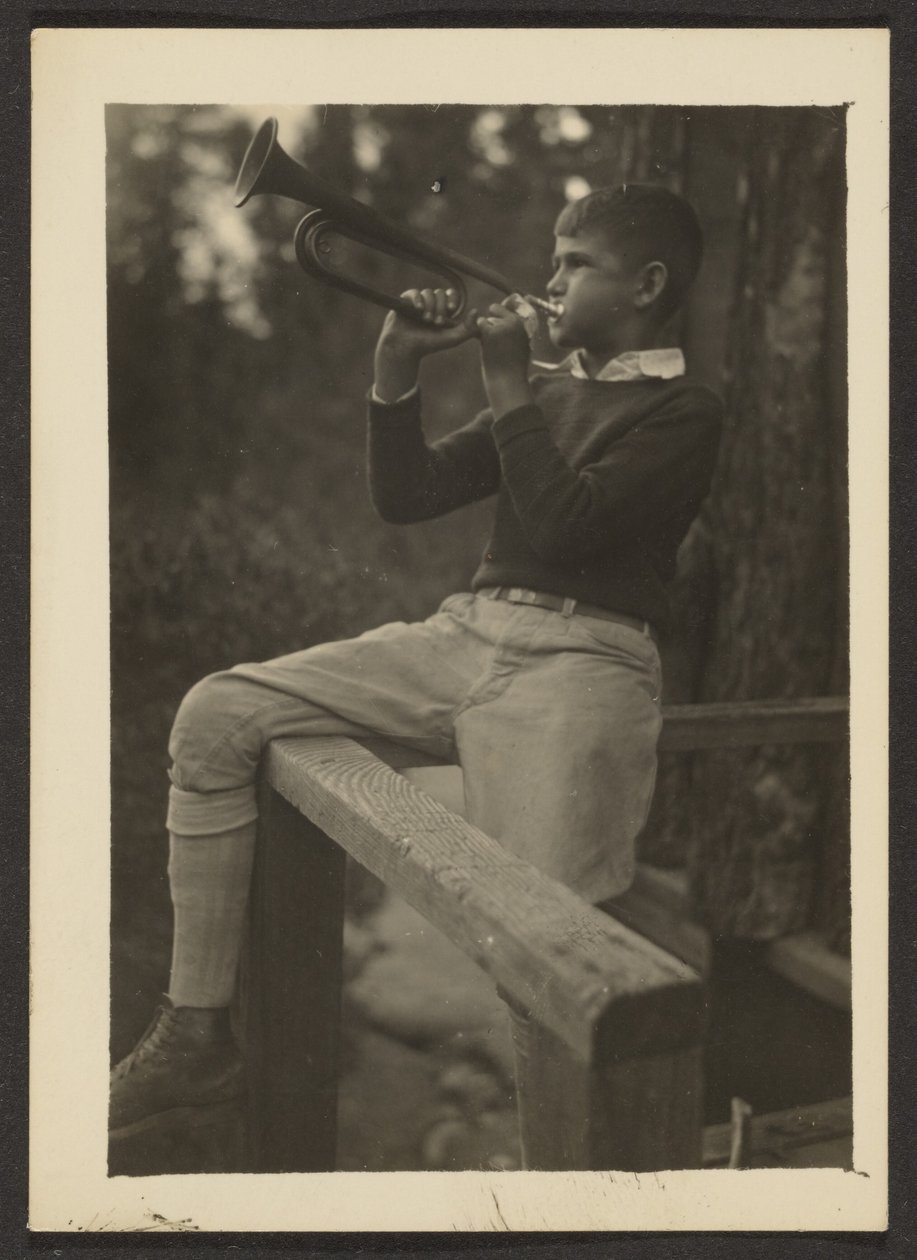 Tornnebb av Louis Fleckenstein
