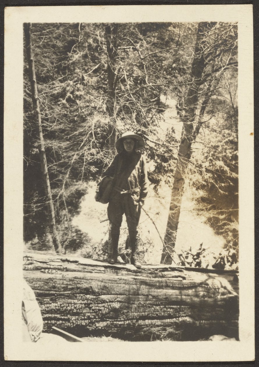  av Louis Fleckenstein