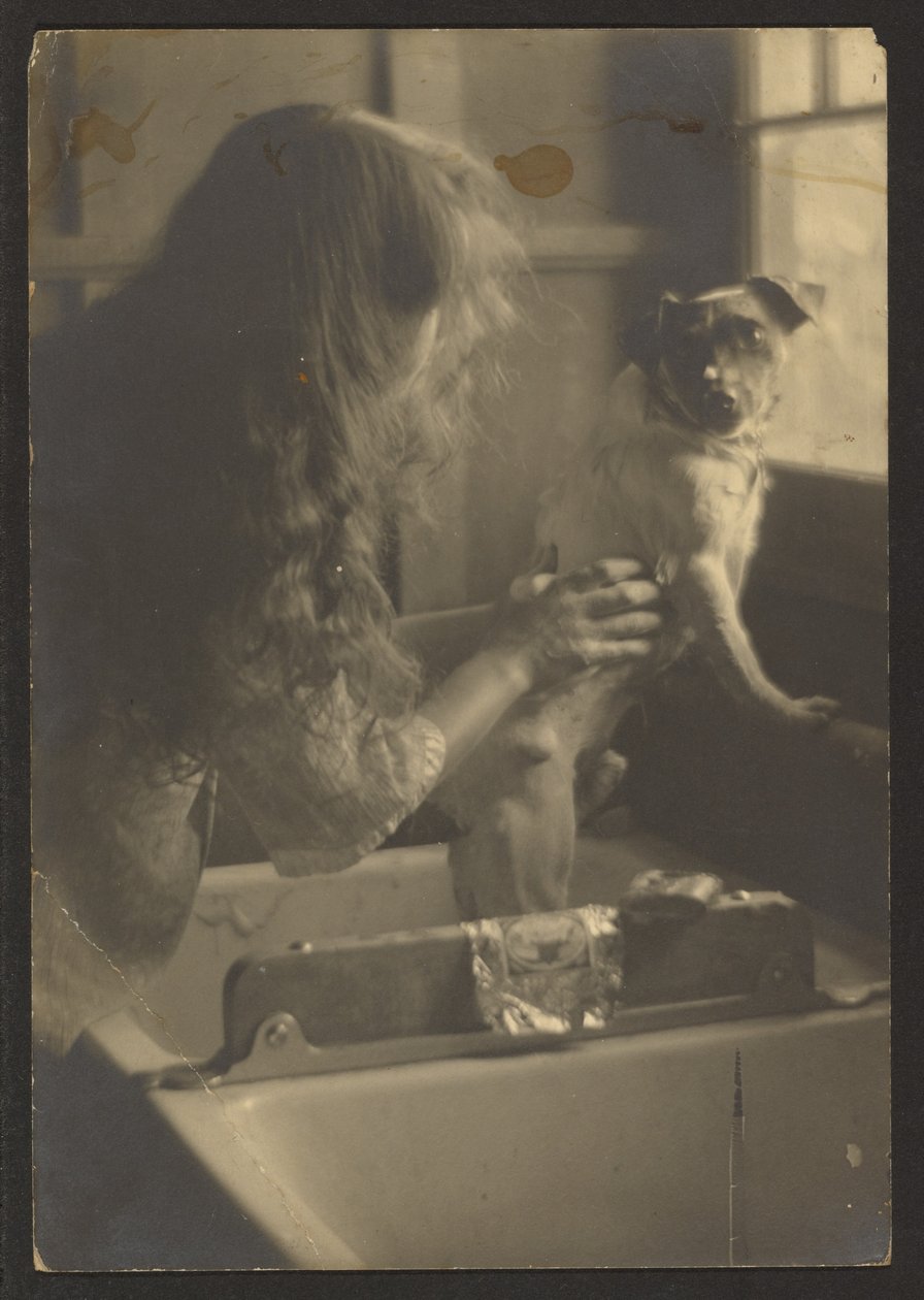 Kvinne vasker hund i en vask av Louis Fleckenstein