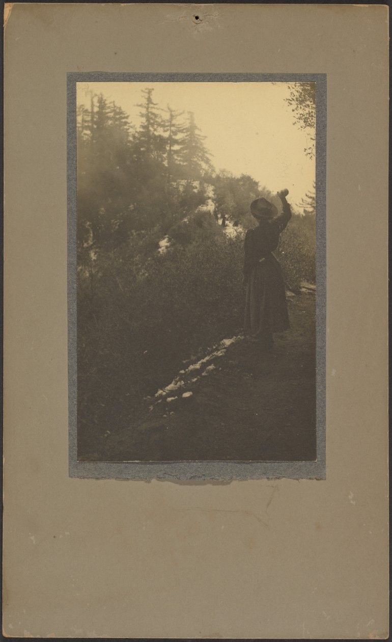  av Louis Fleckenstein