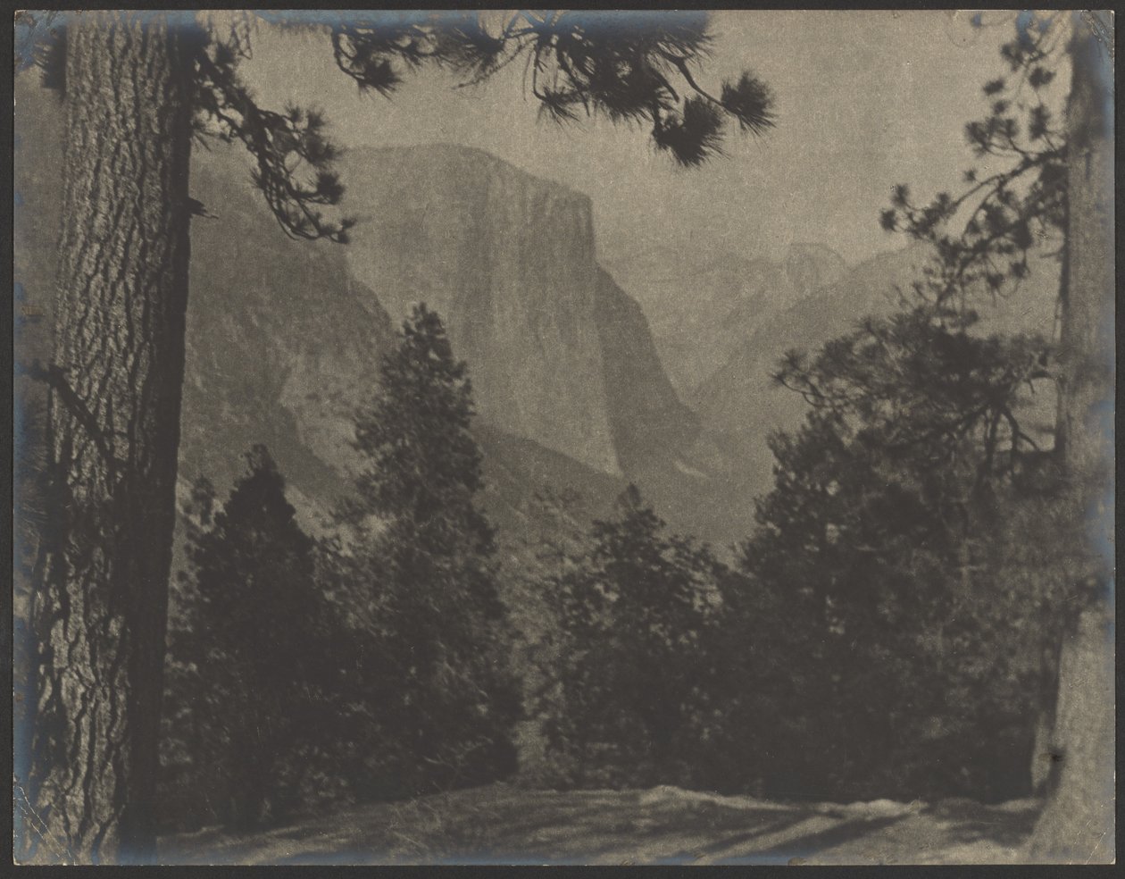Yosemite, gjennom furutrærne av Louis Fleckenstein