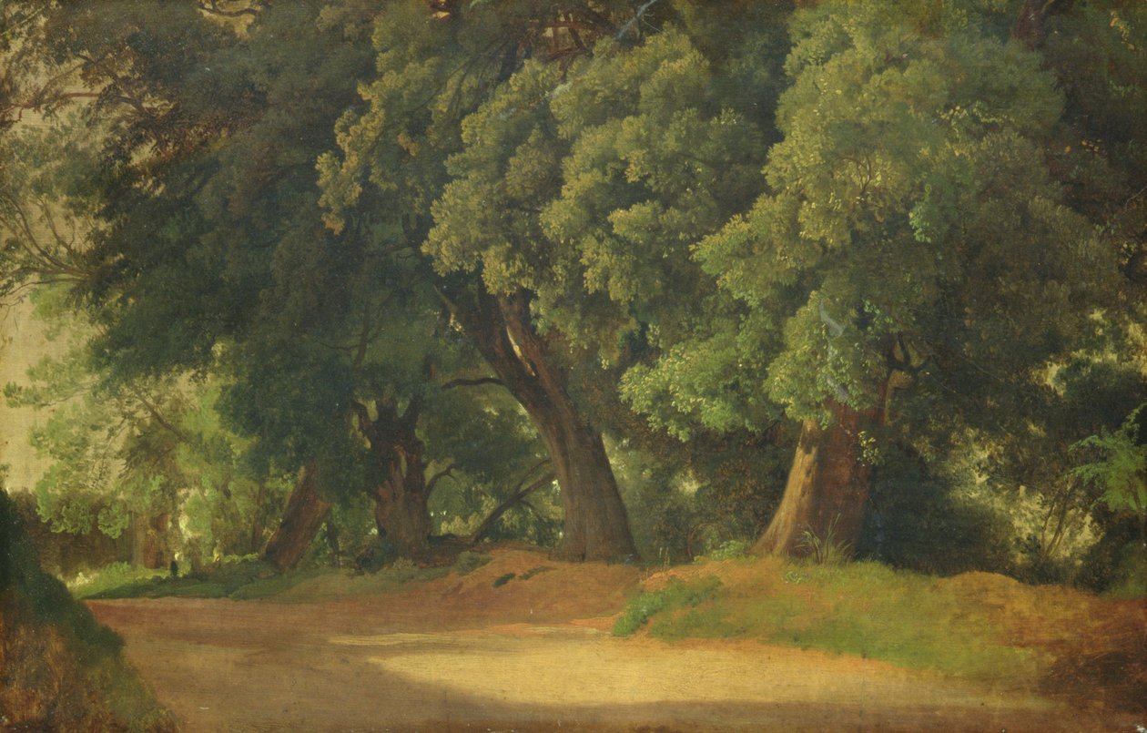 Eiketrær i Holstein (olje på papir på tre) av Louis Gurlitt