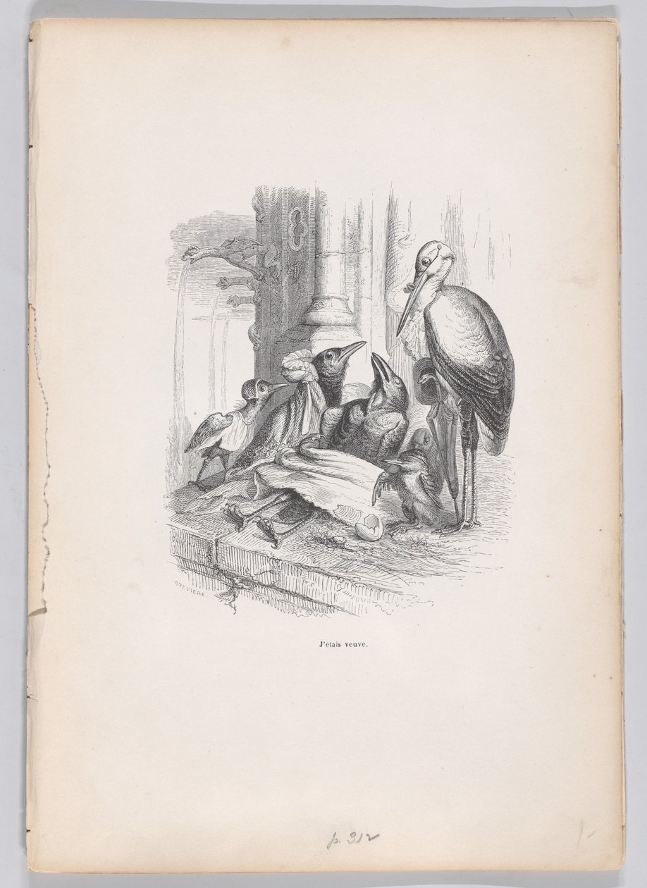 Jeg var enke fra scener fra dyrenes private og offentlige liv, ca. 1837-47. av Louis Henri Brévière