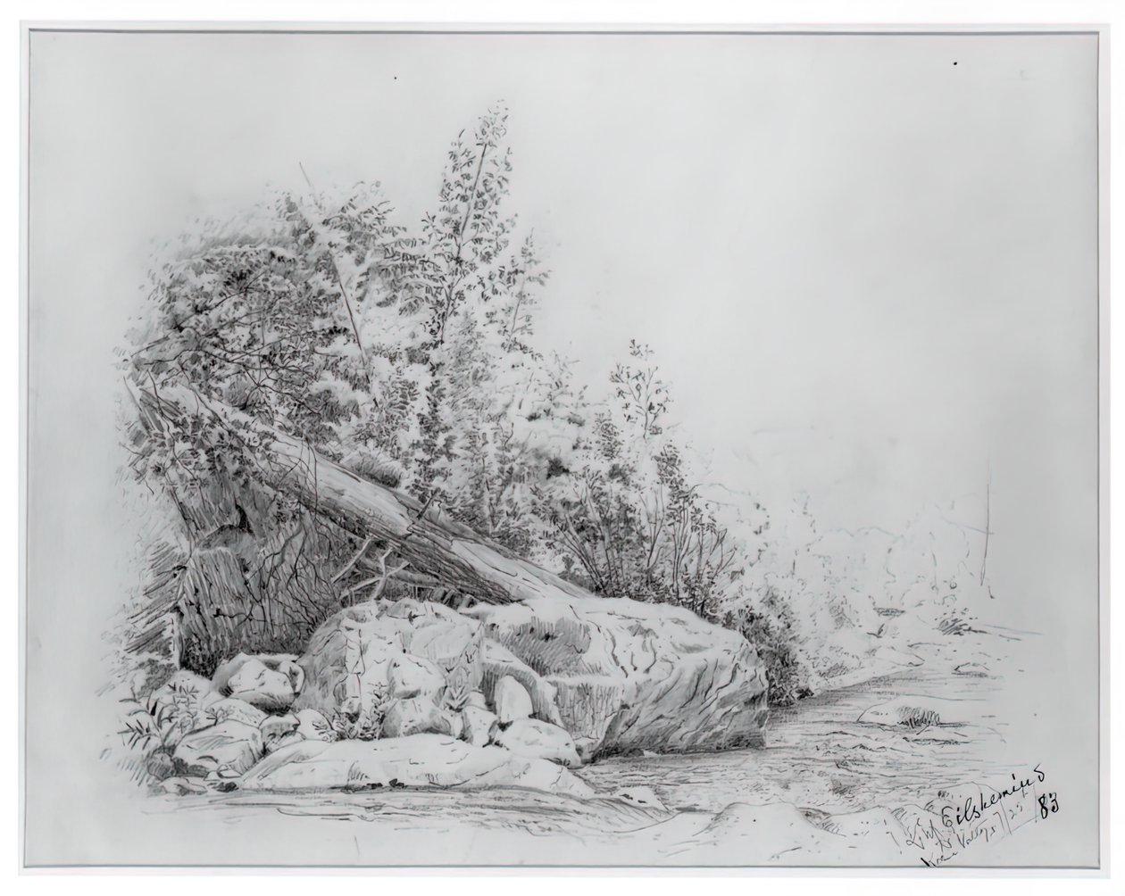 Fallen Tree, Keene Valley, 25. juli 1883. av Louis Michel Eilshemius