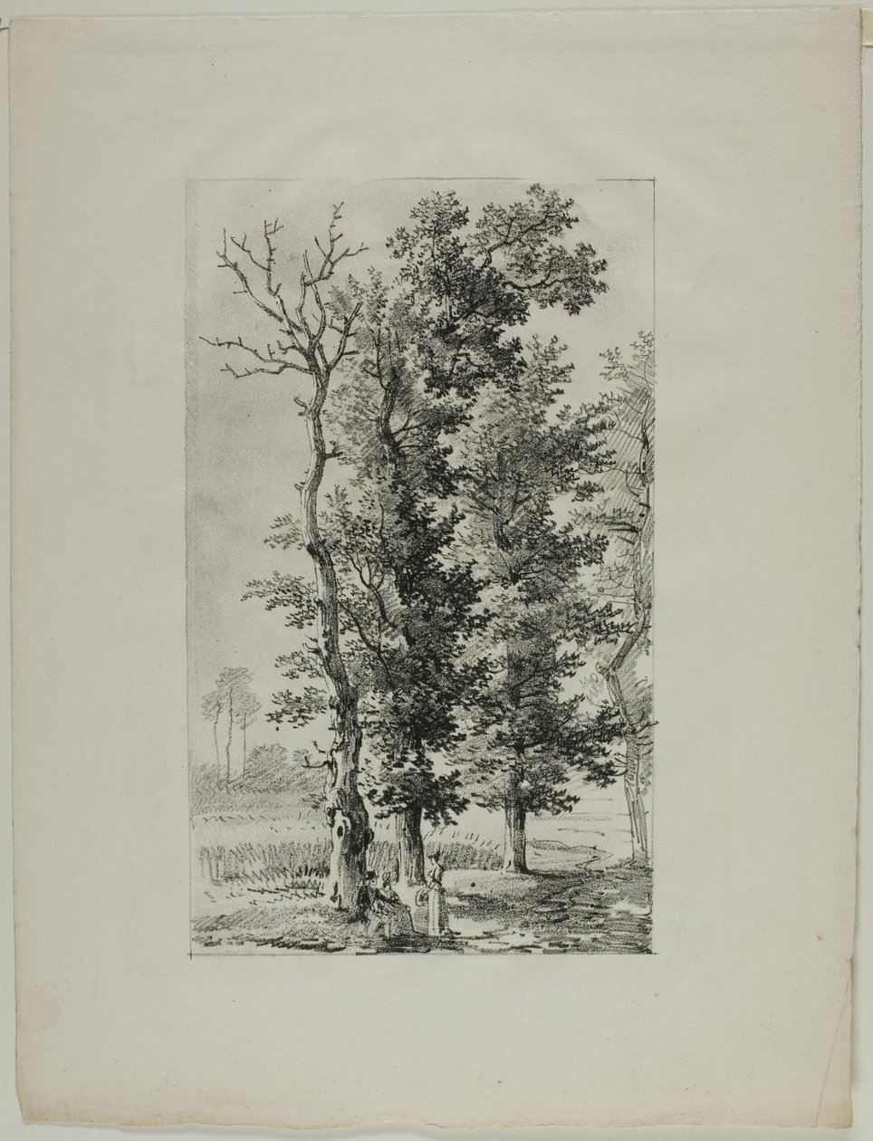 Studie av trær av Louis Pierre Baltard