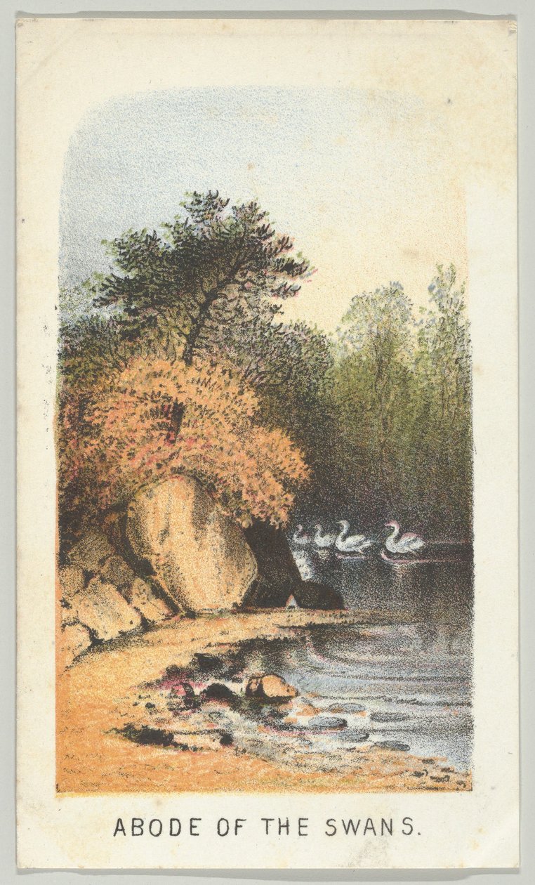 Abode of the Swans, fra serien, Views in Central Park, New York, del 2, 1864. av Louis Prang