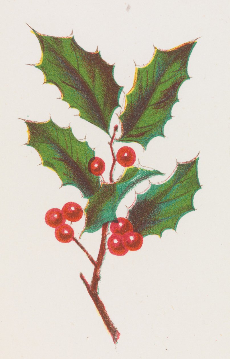 Holly, 1862. av Louis Prang