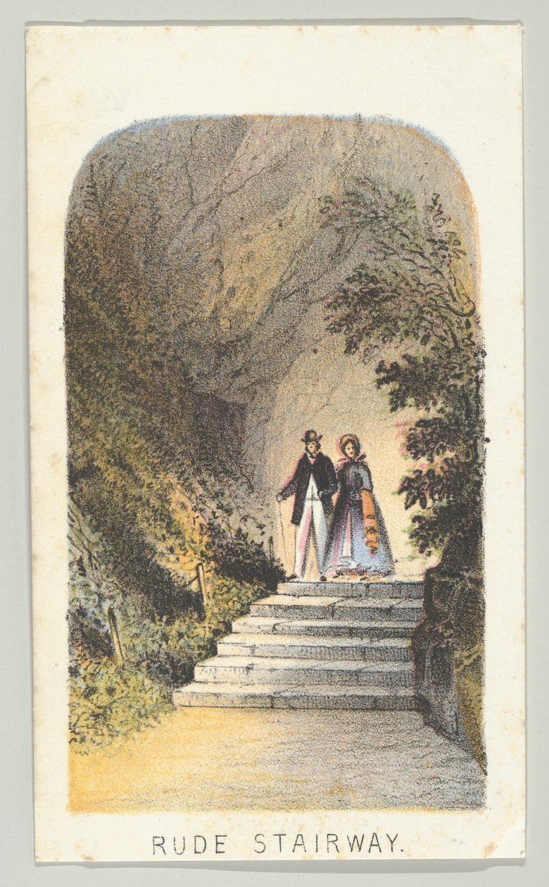 Rude Stairway, fra serien, Views in Central Park, New York, del 2, 1864. av Louis Prang