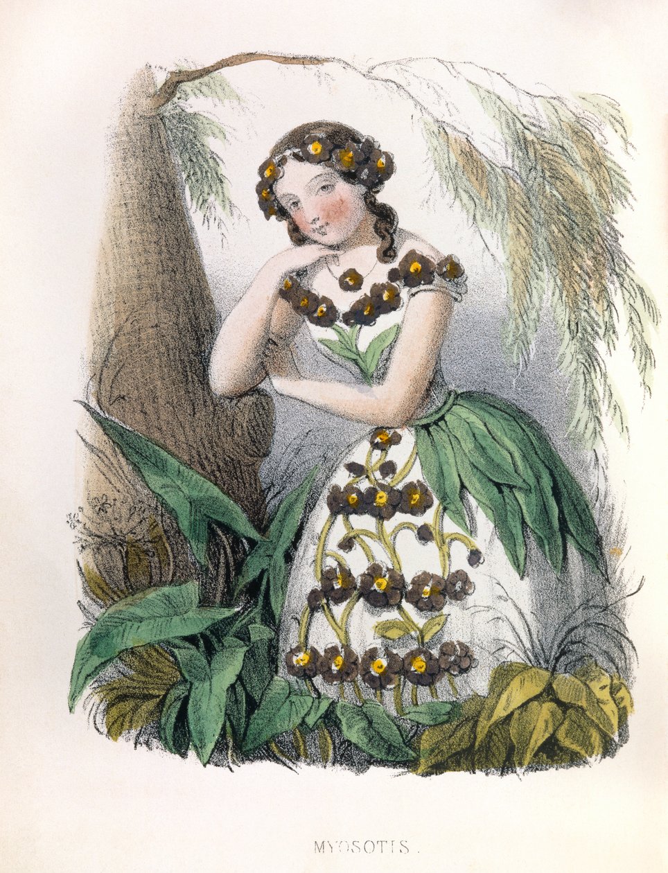  av Louis Simon (1810-1870) Lassalle