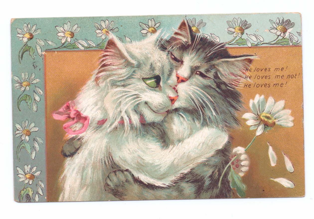 Edwardiansk postkort av to katter som klemmer hverandre, ca. 1910 av Louis Wain