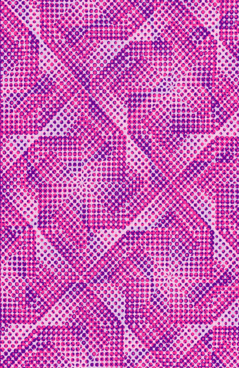 Dotty (digital) av Louisa Hereford