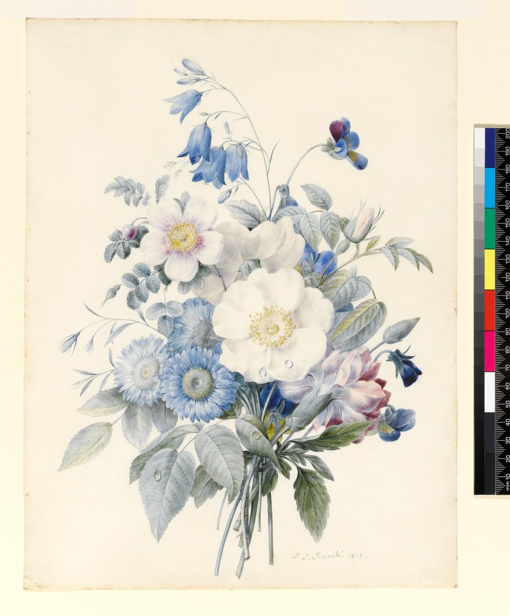 PD.847-1973 A Spray of Summer Flowers, 1820 (wc og gouache på vellum) av Louise DOrleans