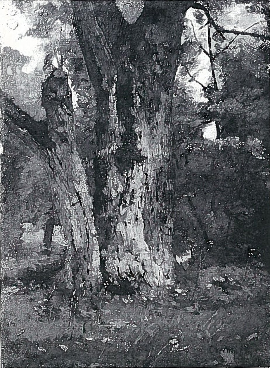 Aweiderpark i Konigsbergn av Lovis Corinth