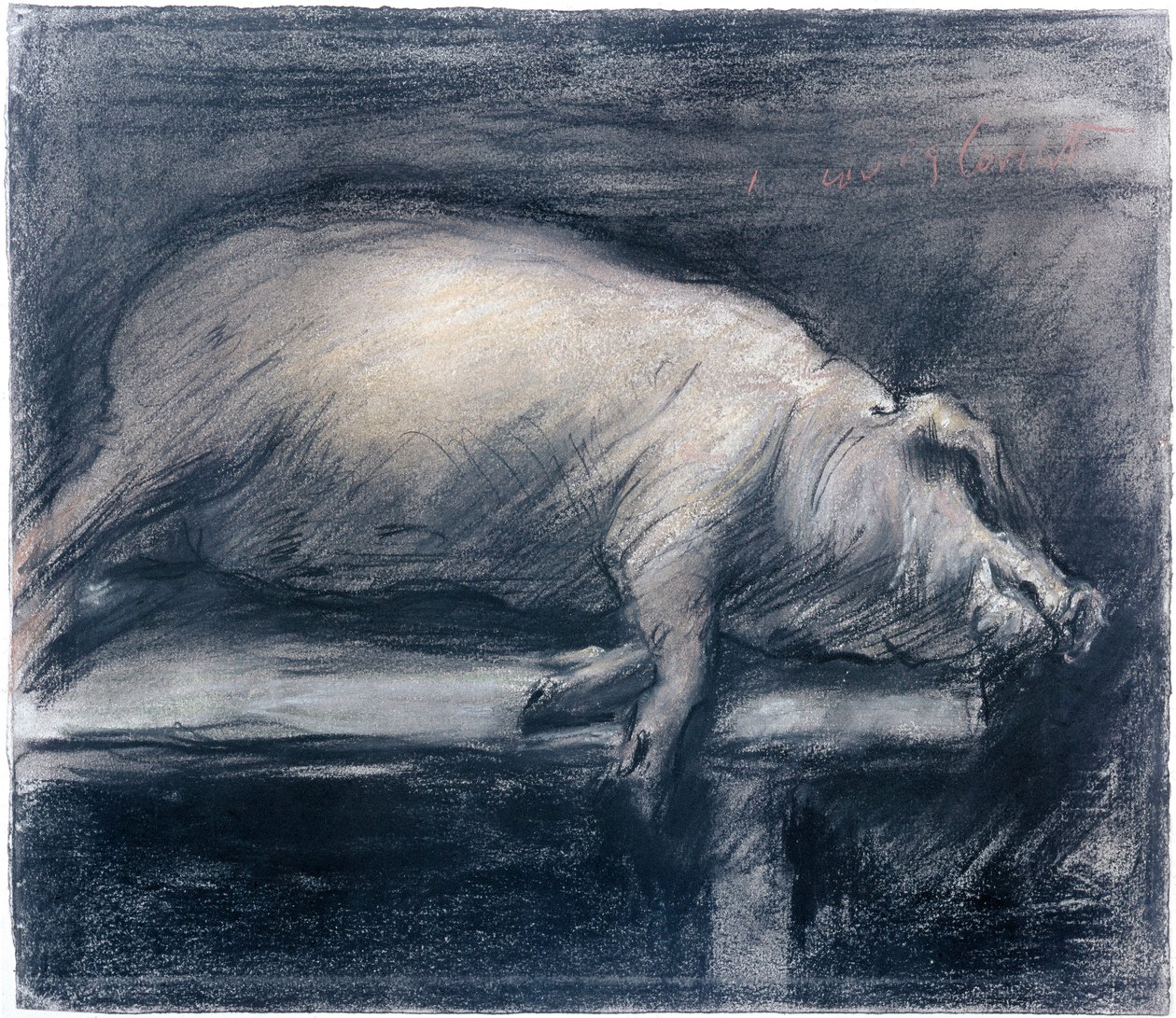 The Slaughtered Pig-tegning av Lovis Corinth (1858-1925) New York, Museum of Modern Art av Lovis  Corinth