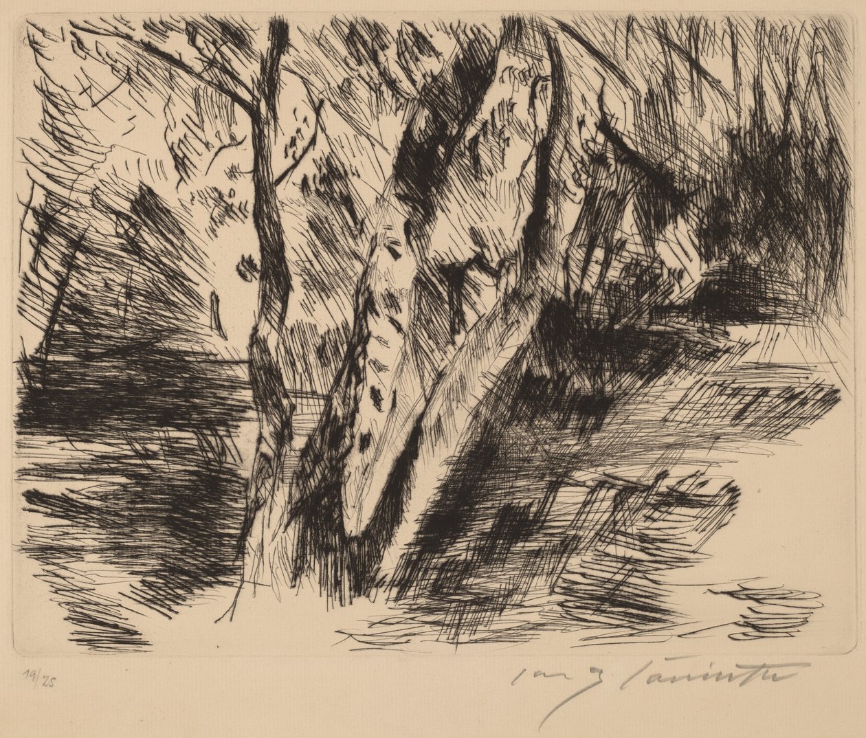 Bjørketrær i Tiergarten av Lovis Corinth