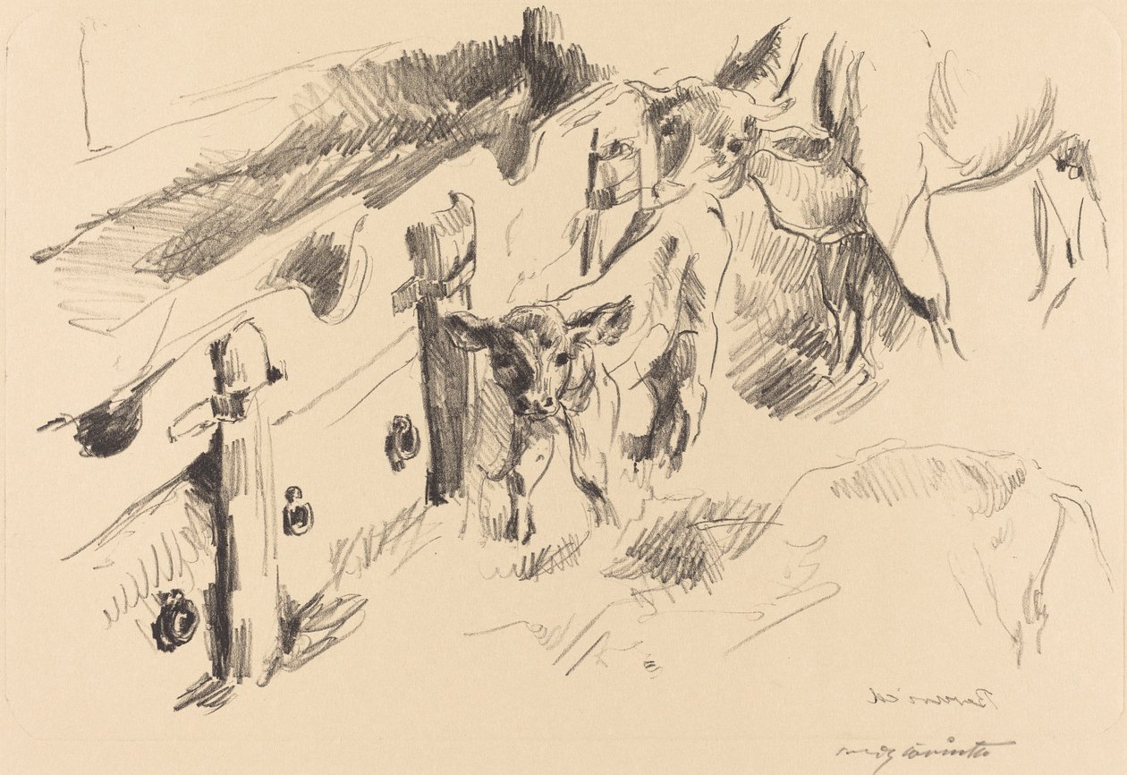 kalver av Lovis Corinth