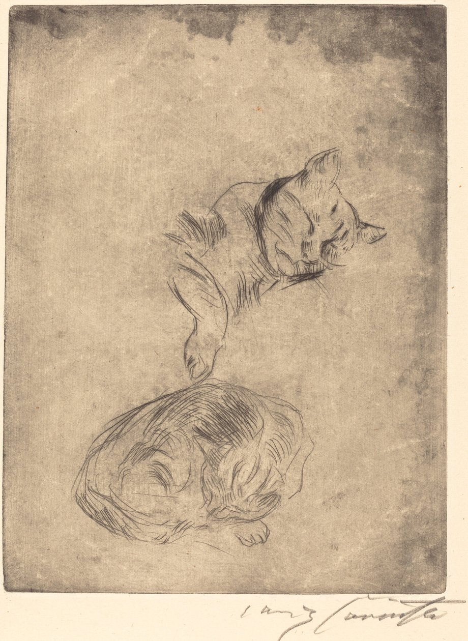 Katzenstudie (Studium of Cats) av Lovis Corinth