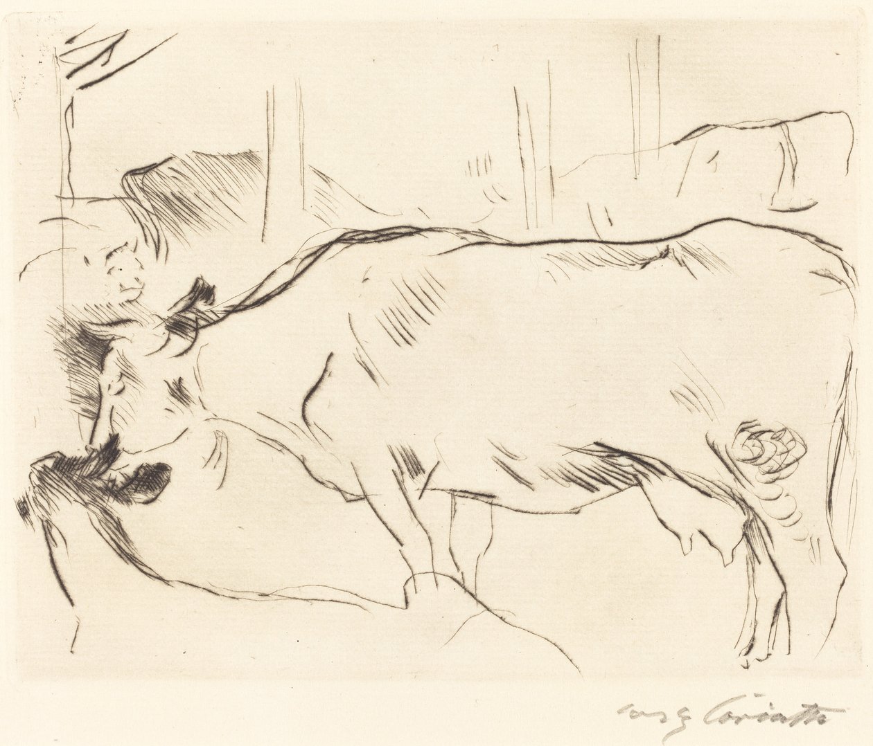 Kufjøs II Kufjøs II, 1914. av Lovis Corinth