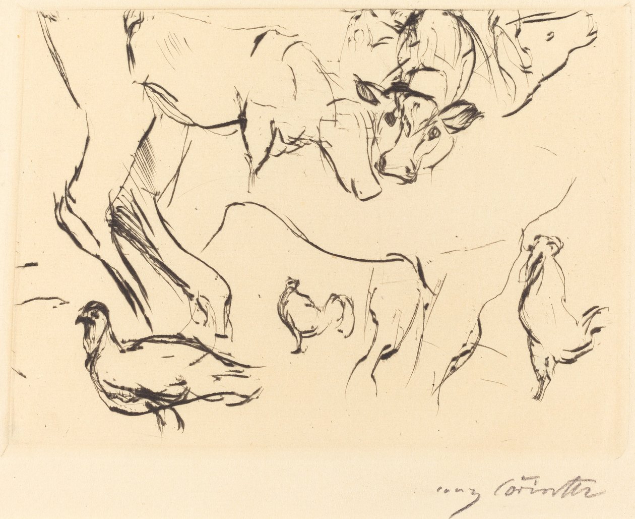 Ulike dyrestudier Animal Studies, 1917. av Lovis Corinth