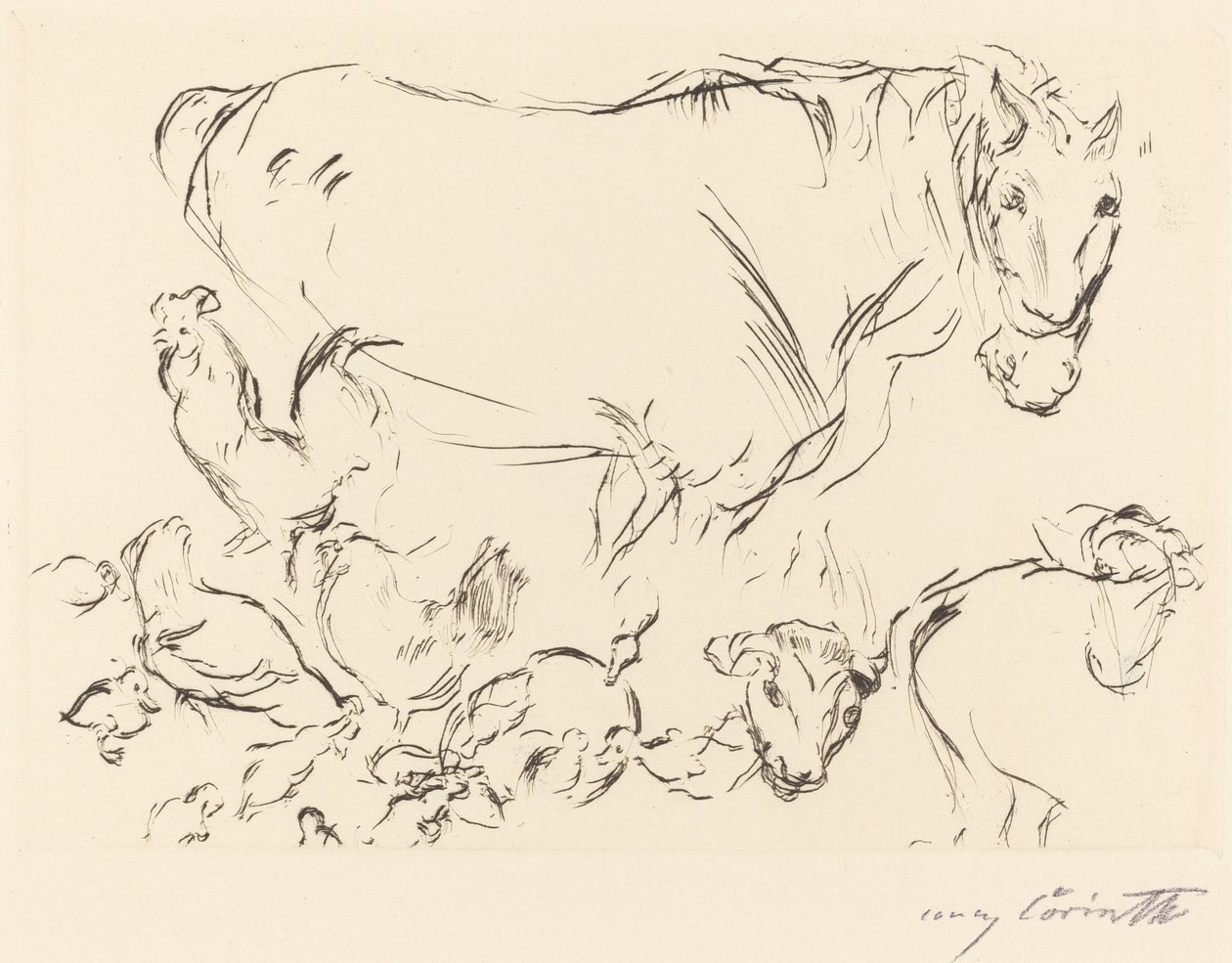 Ulike dyrestudier Animal Studies, 1917. av Lovis Corinth