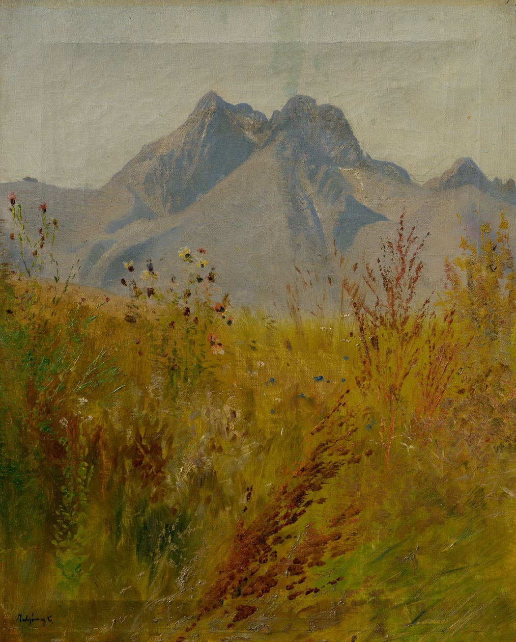 Lomnický Peak av Laszlo Mednyanszky