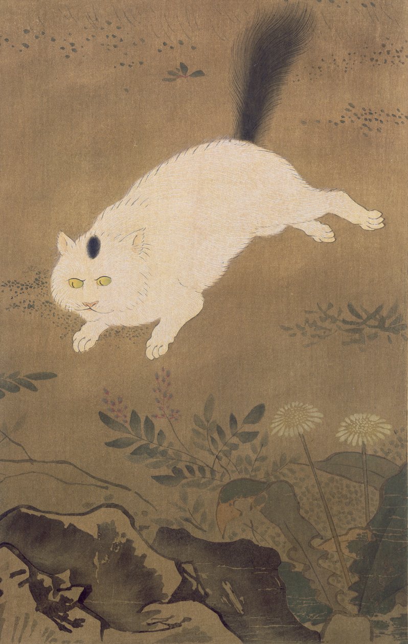 A White Cat, illustrasjon fra The Kokka magazine, utgitt i Japan, 1896-7 av Lu Ji