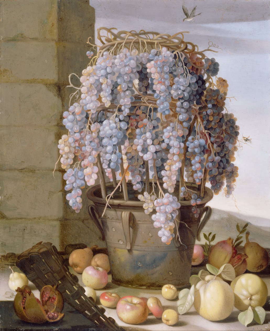 Stilleben med druer og annen frukt av Luca Forte