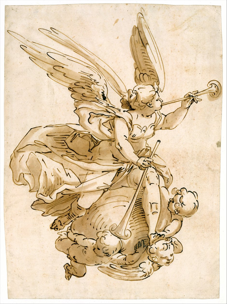 Ruhm av Luca Cambiaso
