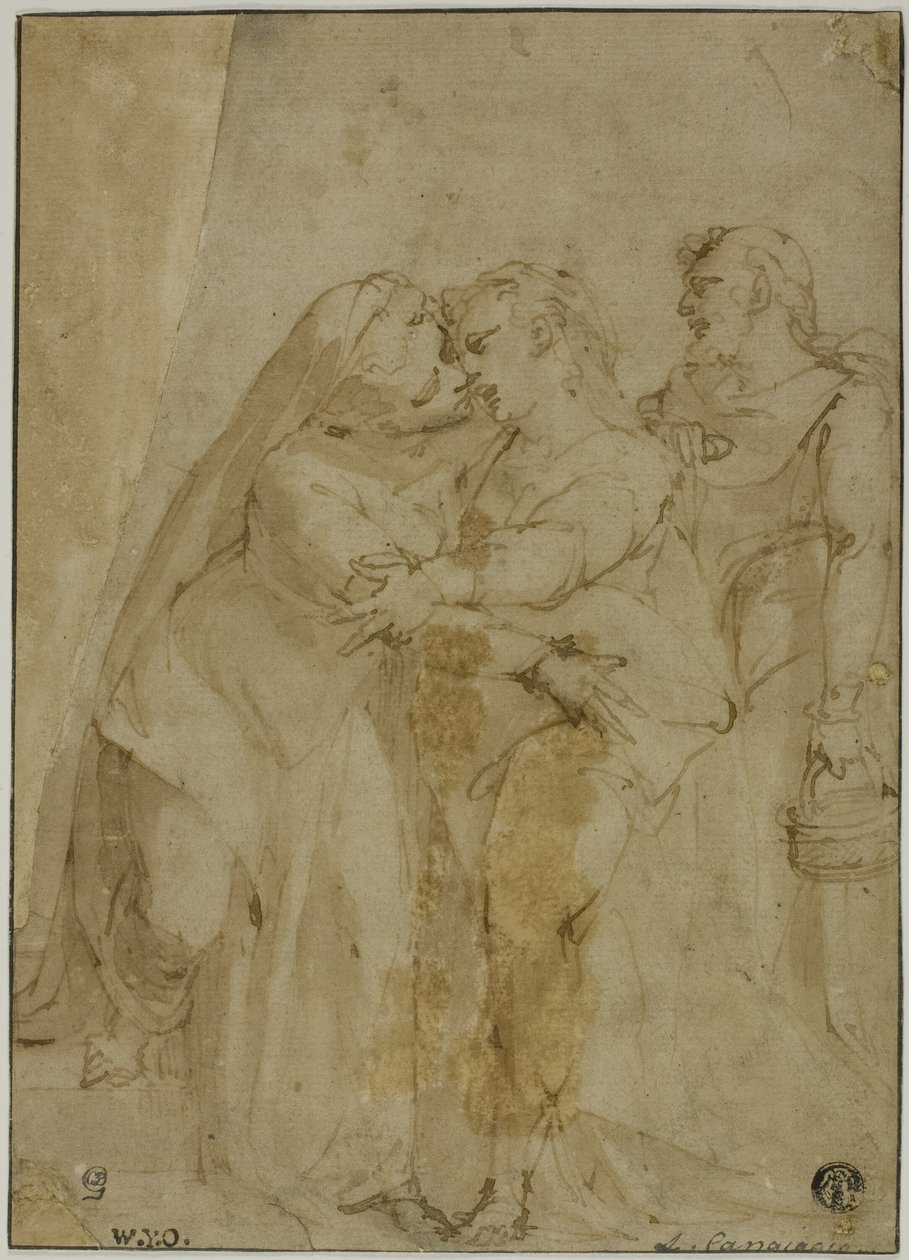  av Luca Cambiaso