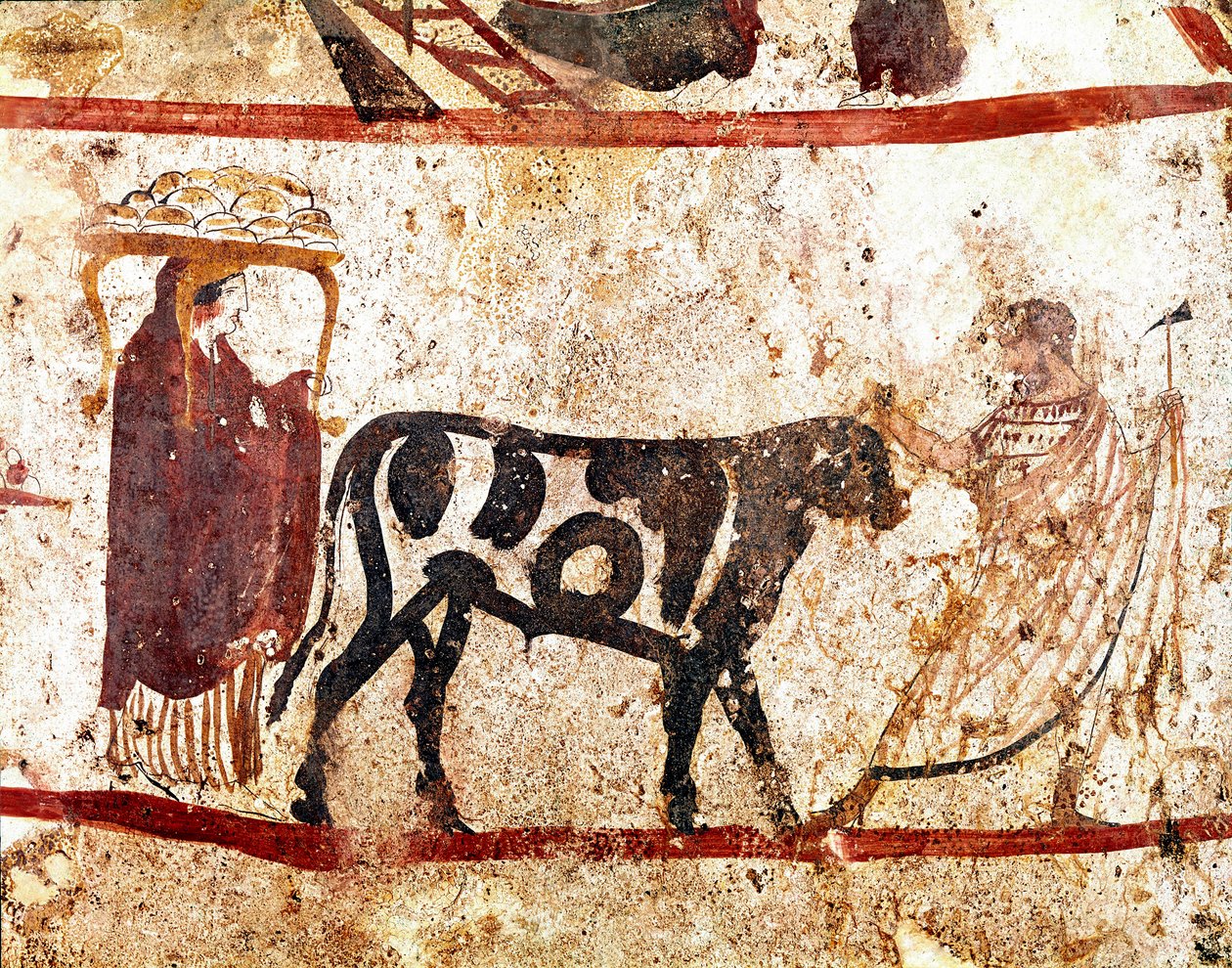 En okse leder på alteret til offerfresken fra det 4. århundre f.Kr., fra nekropolisen Andriuolo i Paestum, Italia. Museo nazionale archeologico, Paestum av Lucanian School