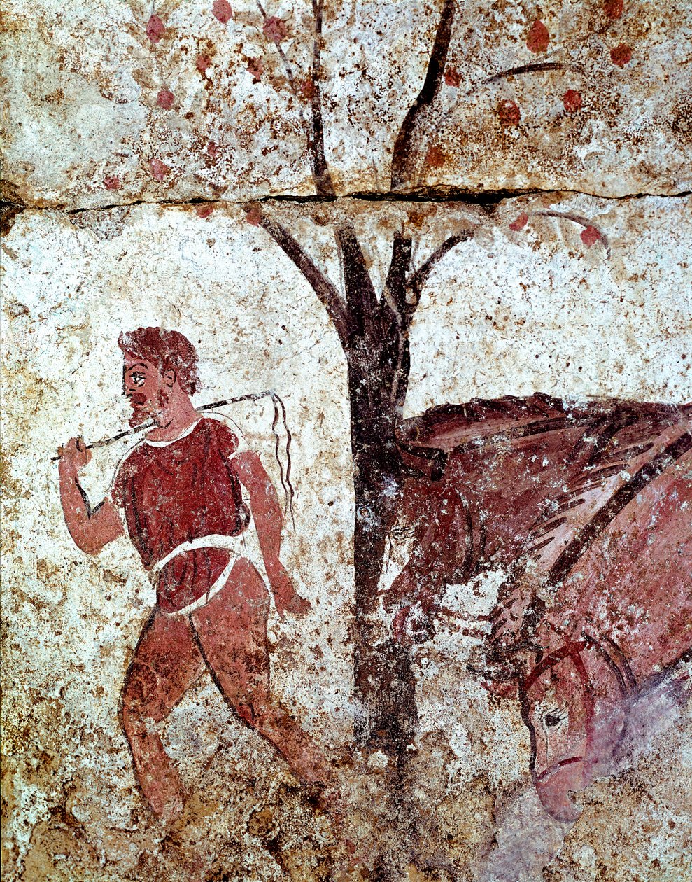 En bonde som trekker to hester Lucanian freske fra det 4. århundre f.Kr., fra nekropolisen Paestum, Italia. Museo nazionale archeologico, Paestum av Lucanian School