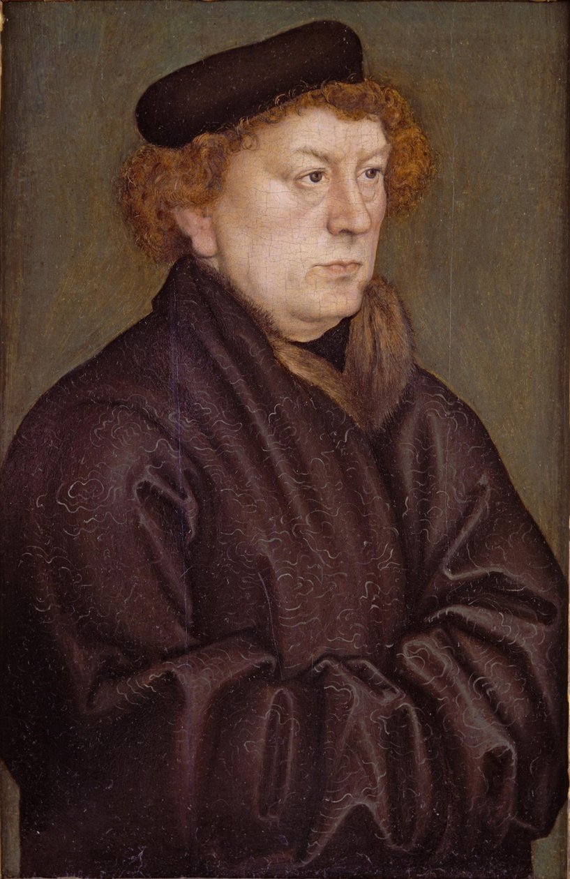 Portrett av en lærd av Lucas Cranach the Elder